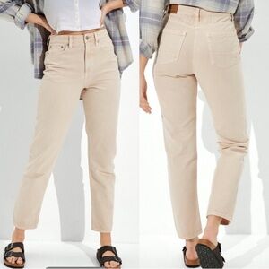 American Eagle mom  Jeans size 2R